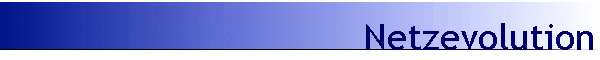 Netzevolution